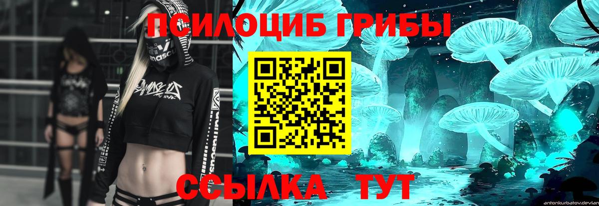 Псилоцибиновые грибы мицелий Людиново